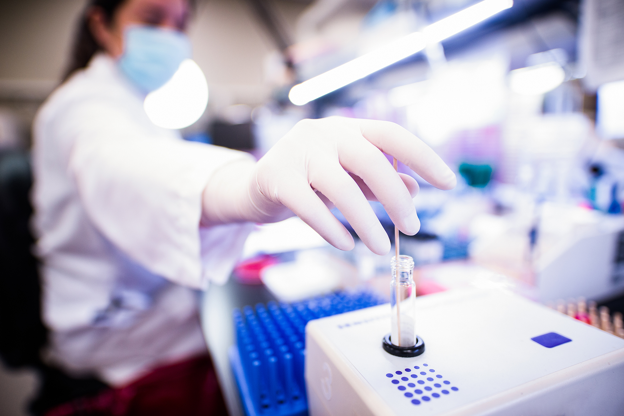 The Impact of Lab Technicians in Veterinary Medicine