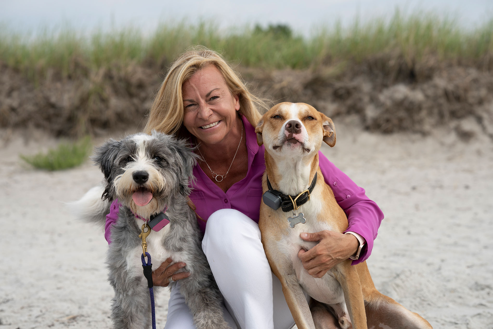 Veterinary Technicians are Essential  