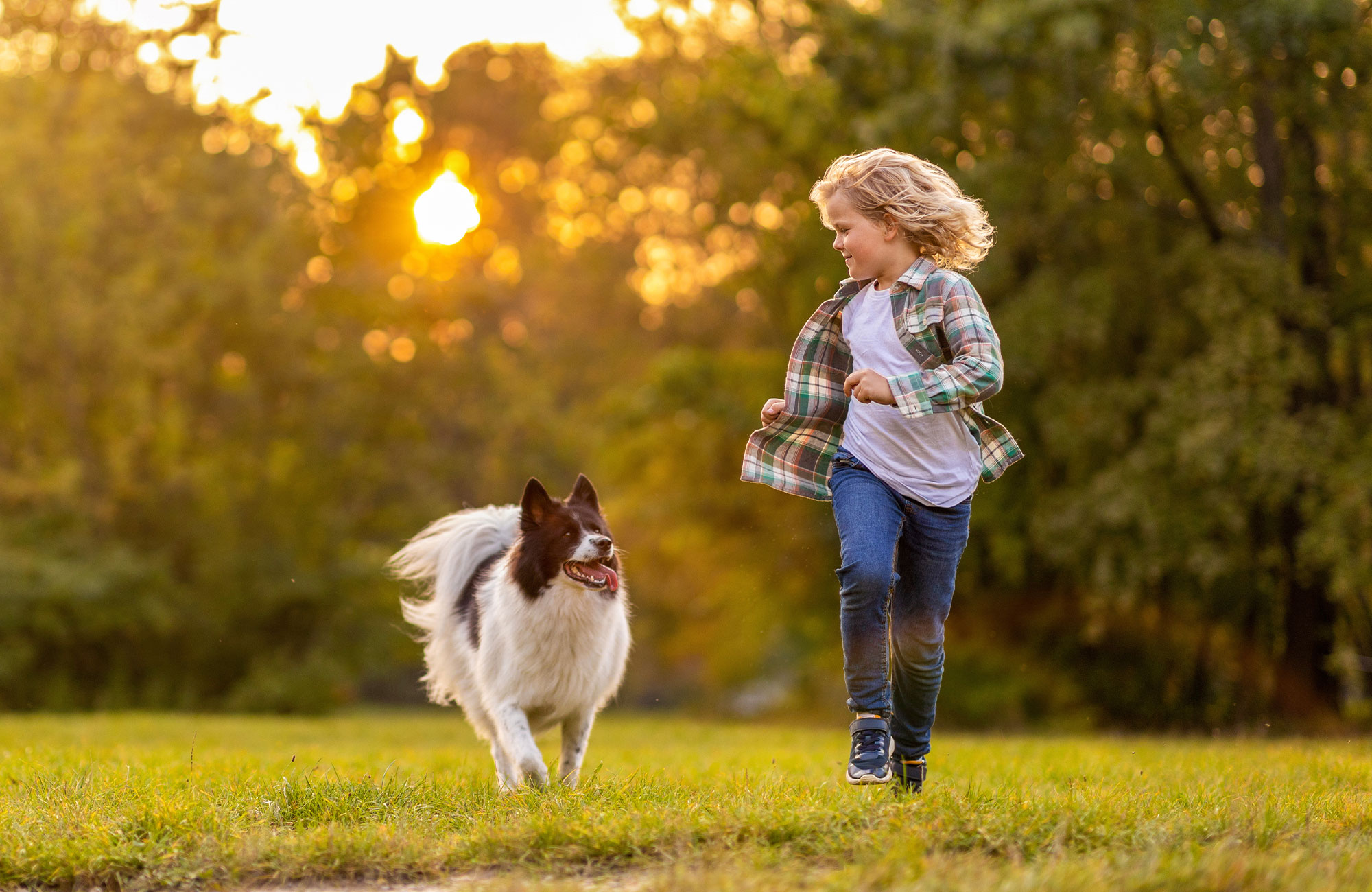 Updates on Gastrointestinal Parasites with Zoonotic Potential