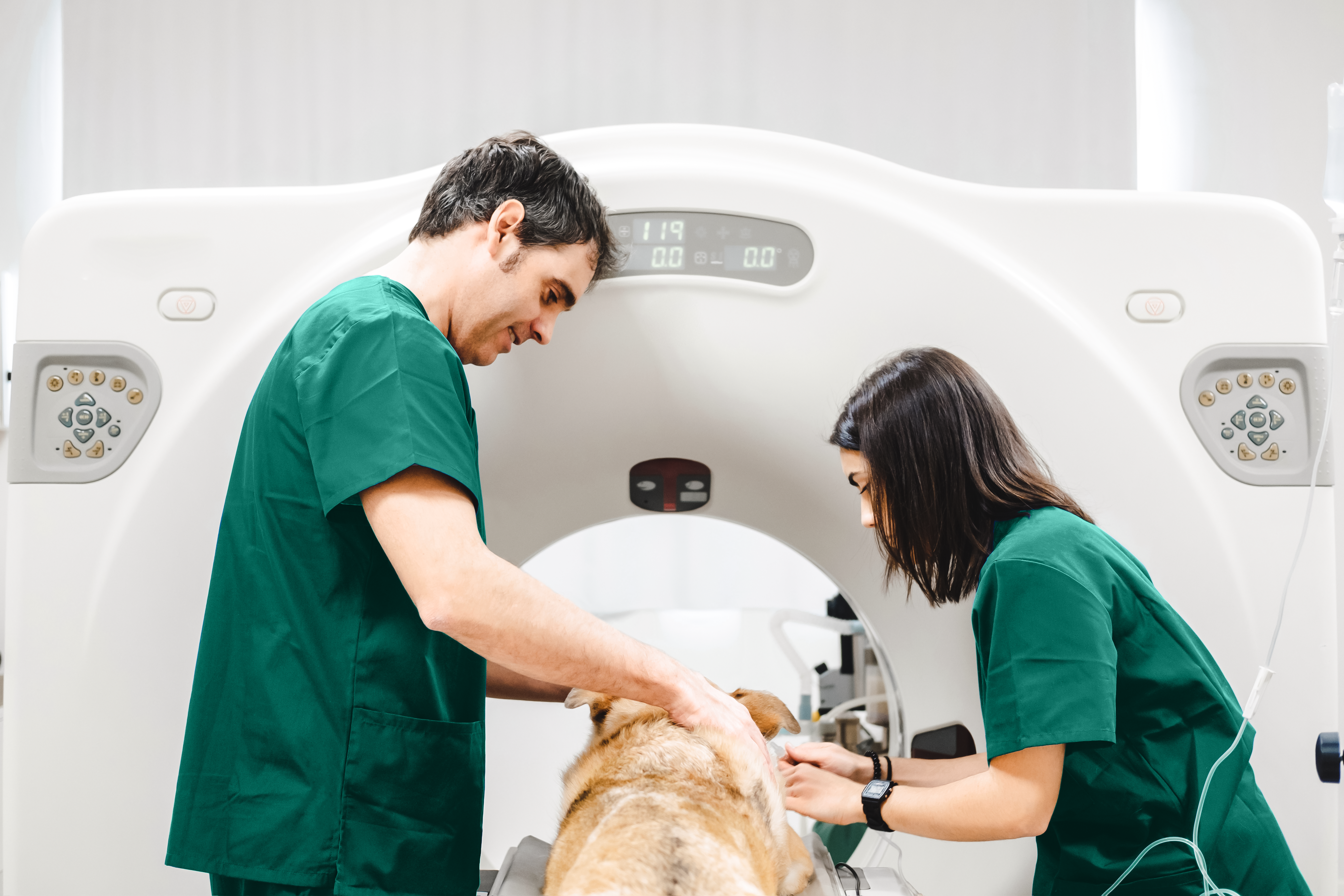 Learn about advances in diagnostic imaging with 2025’s VETgirl & Antech™ Diagnostic Imaging Certificate Program