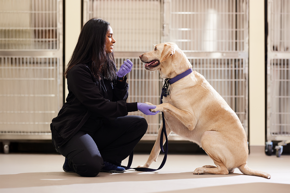 Behind the Lab Coat: Vet Tech/RVT Stories from the Antech™ Team